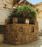 Le buisson-ardent du monastère Sainte Catherine du mont Sinaï